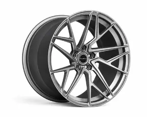 Srebrno deljeno Brixton Forged platišče